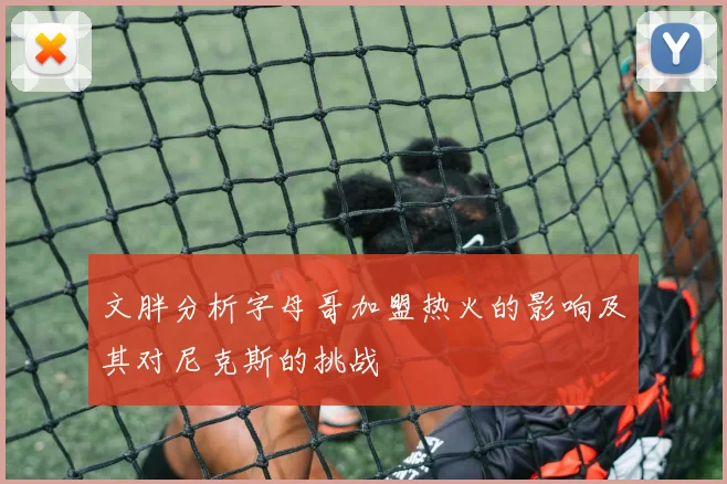 文胖分析字母哥加盟热火的影响及其对尼克斯的挑战