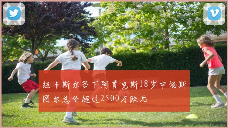 纽卡斯尔签下阿贾克斯18岁中场斯图尔总价超过2500万欧元