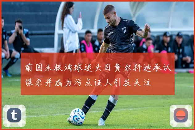 前国米极端球迷头目费尔科迪承认谋杀并成为污点证人引发关注